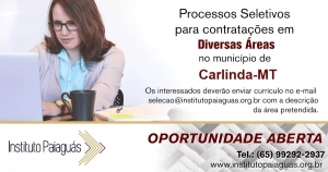 Processo Seletivo 009/2019 para diversas áreas em Carlinda-MT