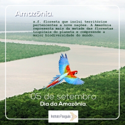 5 de setembro: Dia da Amazônia